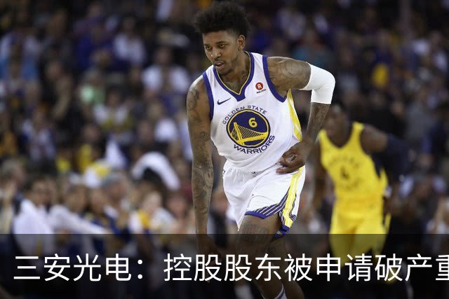 三安光电：控股股东被申请破产重整