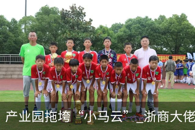 产业园拖垮“小马云” 浙商大佬被立案侦查