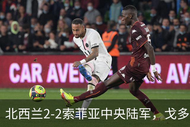 北西兰2-2索菲亚中央陆军，戈多伊先拔头筹，戈多伊救主