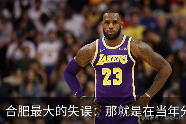 合肥最大的失误：那就是在当年分巢湖的时候，竟然没有拿下无为县