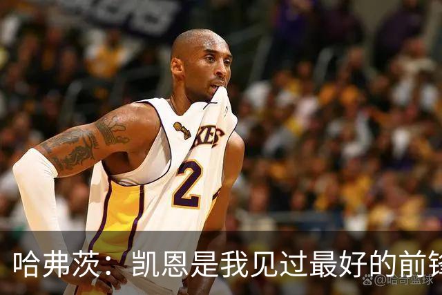 哈弗茨：凯恩是我见过最好的前锋之一；谁进球并不重要