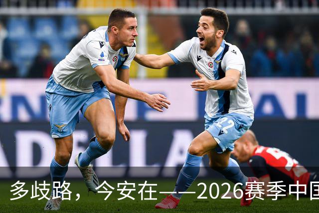 多歧路，今安在——2026赛季中国女排表现观感之四