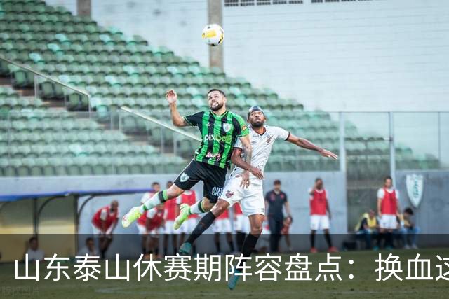 山东泰山休赛期阵容盘点：换血这道大题