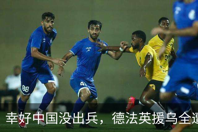 幸好中国没出兵，德法英援乌全遭反噬，看完才发现中国决定多高明