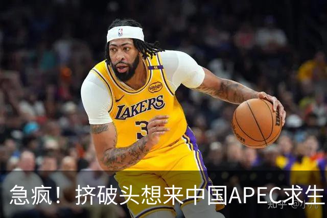 急疯！挤破头想来中国APEC求生，因国内清算打响，高市或锒铛入狱
