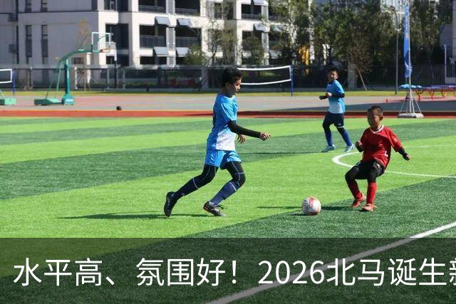 水平高、氛围好！2026北马诞生新纪录，赛事组织获选手认可