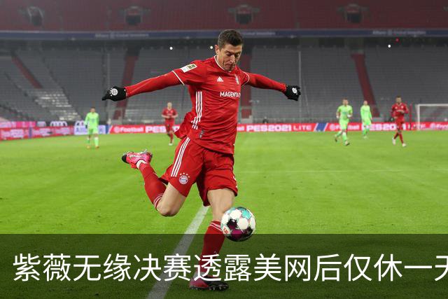紫薇无缘决赛透露美网后仅休一天，丝袜伤败武网回应宁波是战是退
