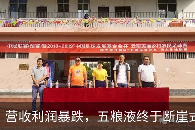 营收利润暴跌，五粮液终于断崖式亮相