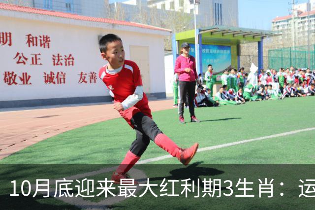 10月底迎来最大红利期3生肖：运筹帷幄聚沙成塔，不想发财都难